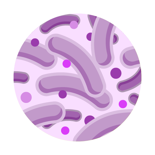 Biofilm Bacteria Water Test from Tap Score