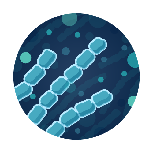 Algae Enumeration Water Test