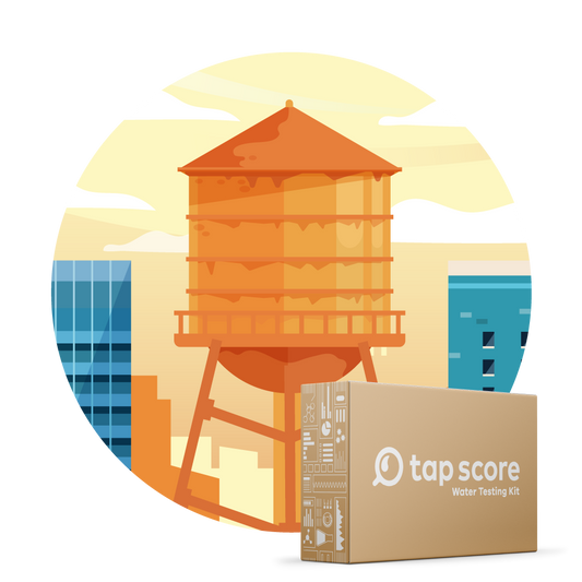 Tap Score Essential City Water Test