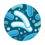 HPC Water Test