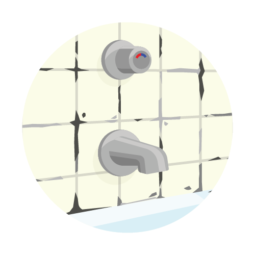 Mold and Fungus Water Test