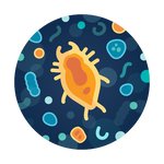 Total Microbiology Water Test