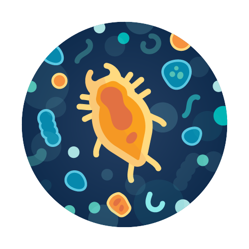 Total Microbiology Water Test