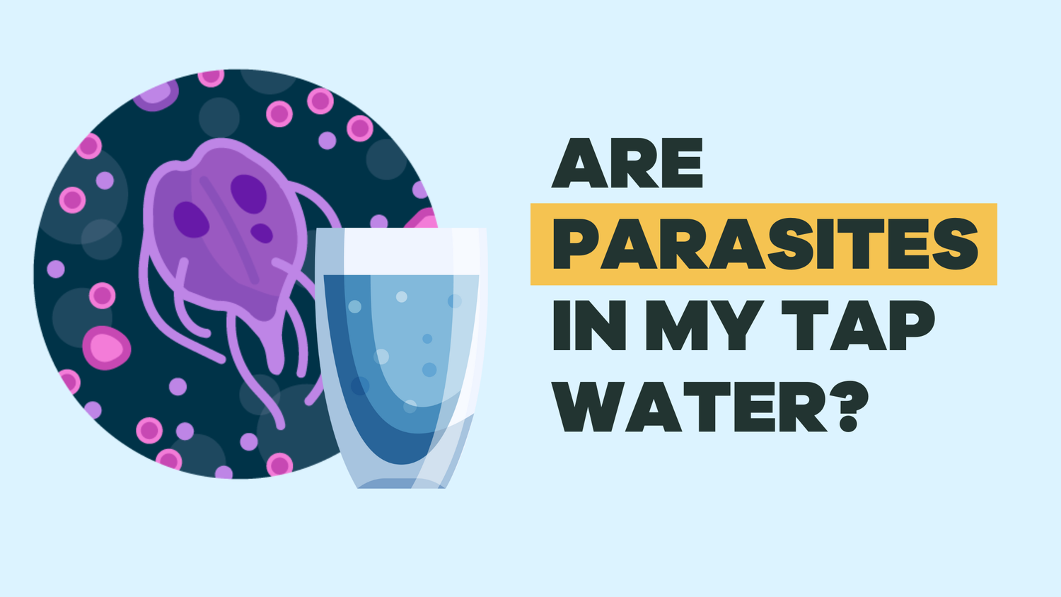 Are there parasites in my tap water? - BLG005