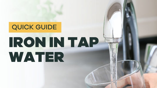 Quick Guide to Iron: Causes, Testing, and Treatment