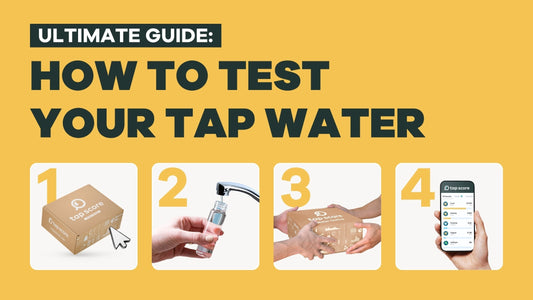 How To Test Your Tap Water with Tap Score - BLG030