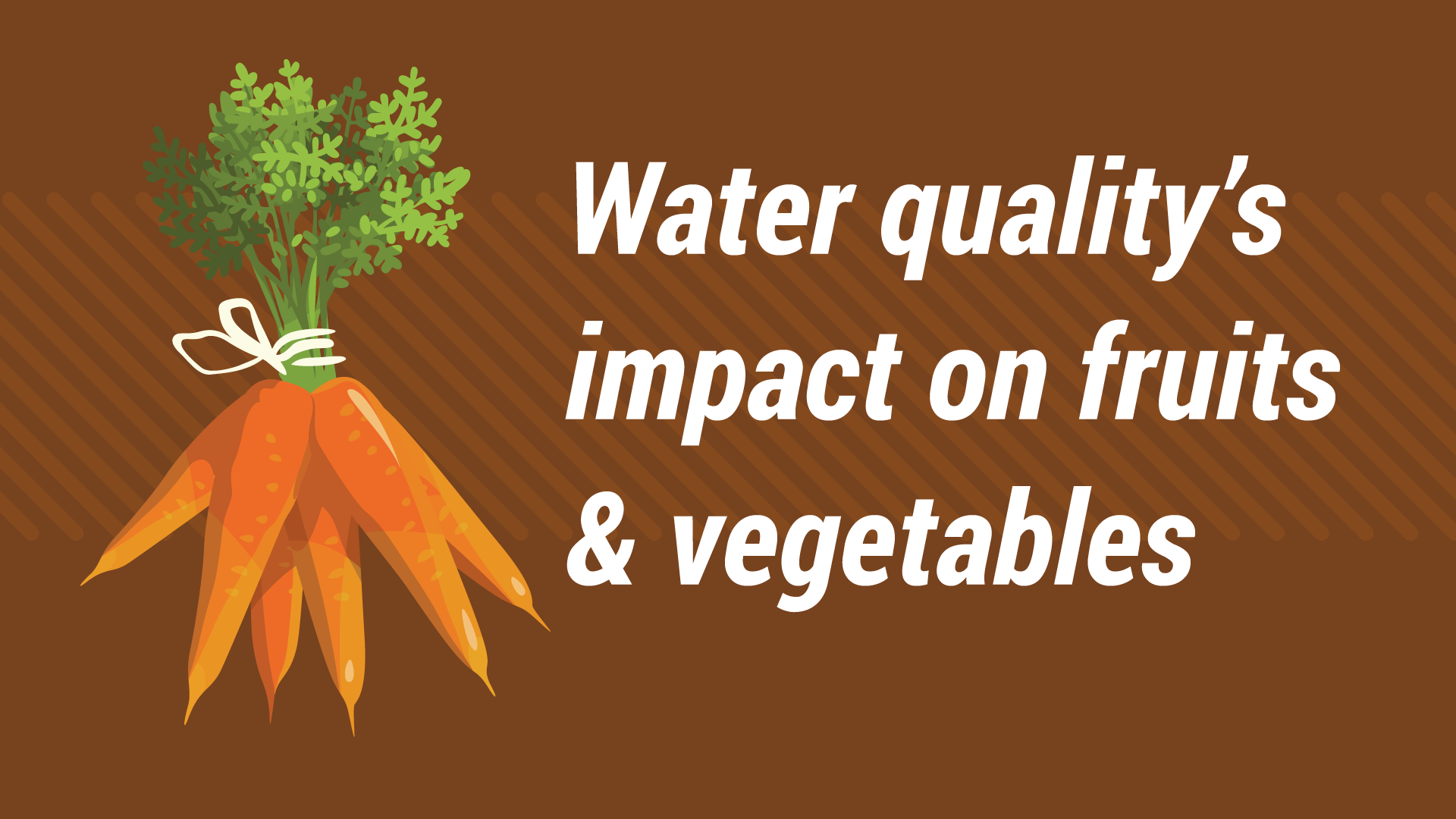 How Water Quality Impacts Your Fruits and Vegetables – SimpleLab Tap Score