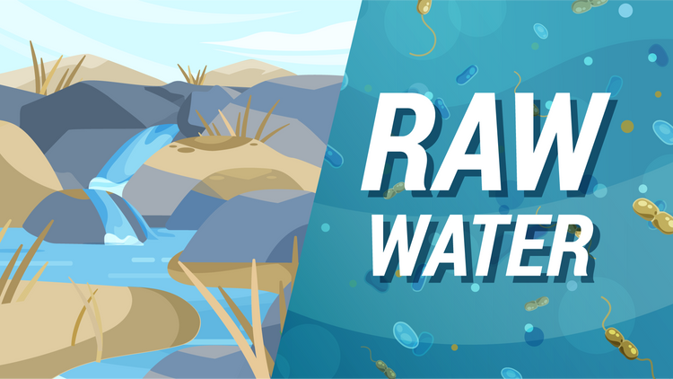 What’s In Your Raw Water?