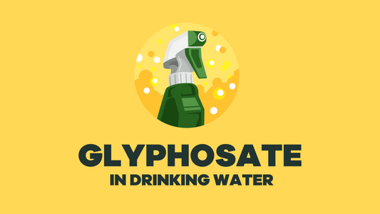 Glyphosate: How the Most Common Herbicide Puts Tap Water at Risk