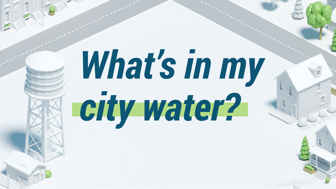 What's In My City Water? 