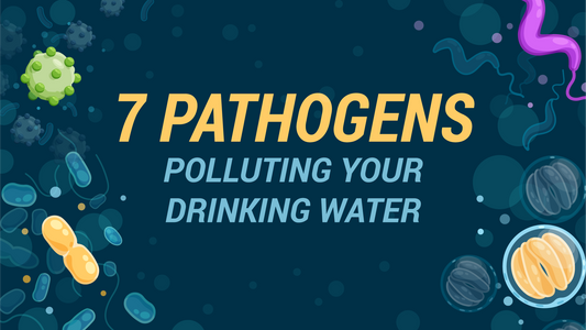 7 Common Pathogens in Drinking Water