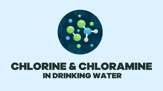 Chlorine and Chloramine disinfection in drinking water