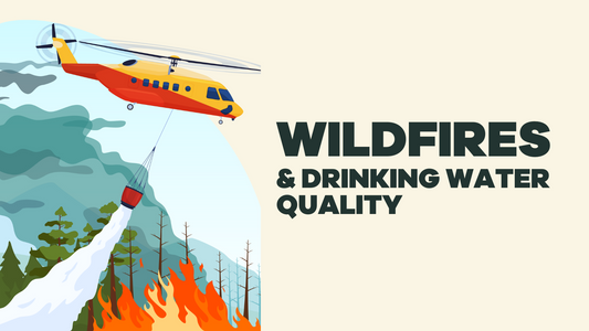 short guide on wildfires and water quality