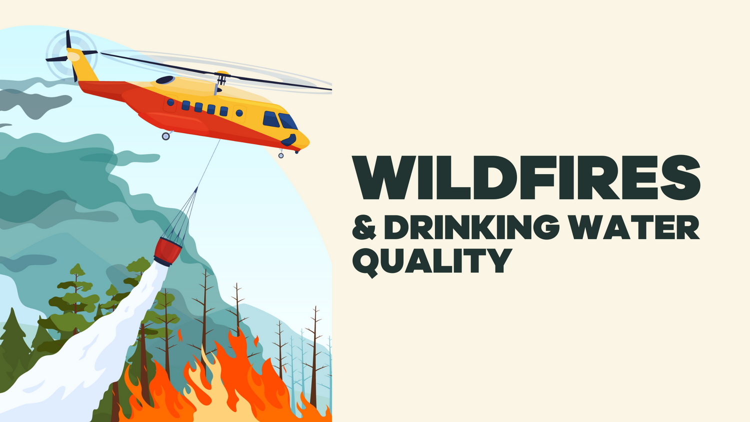 Understanding Wildfires and Drinking Water Quality - BLG207