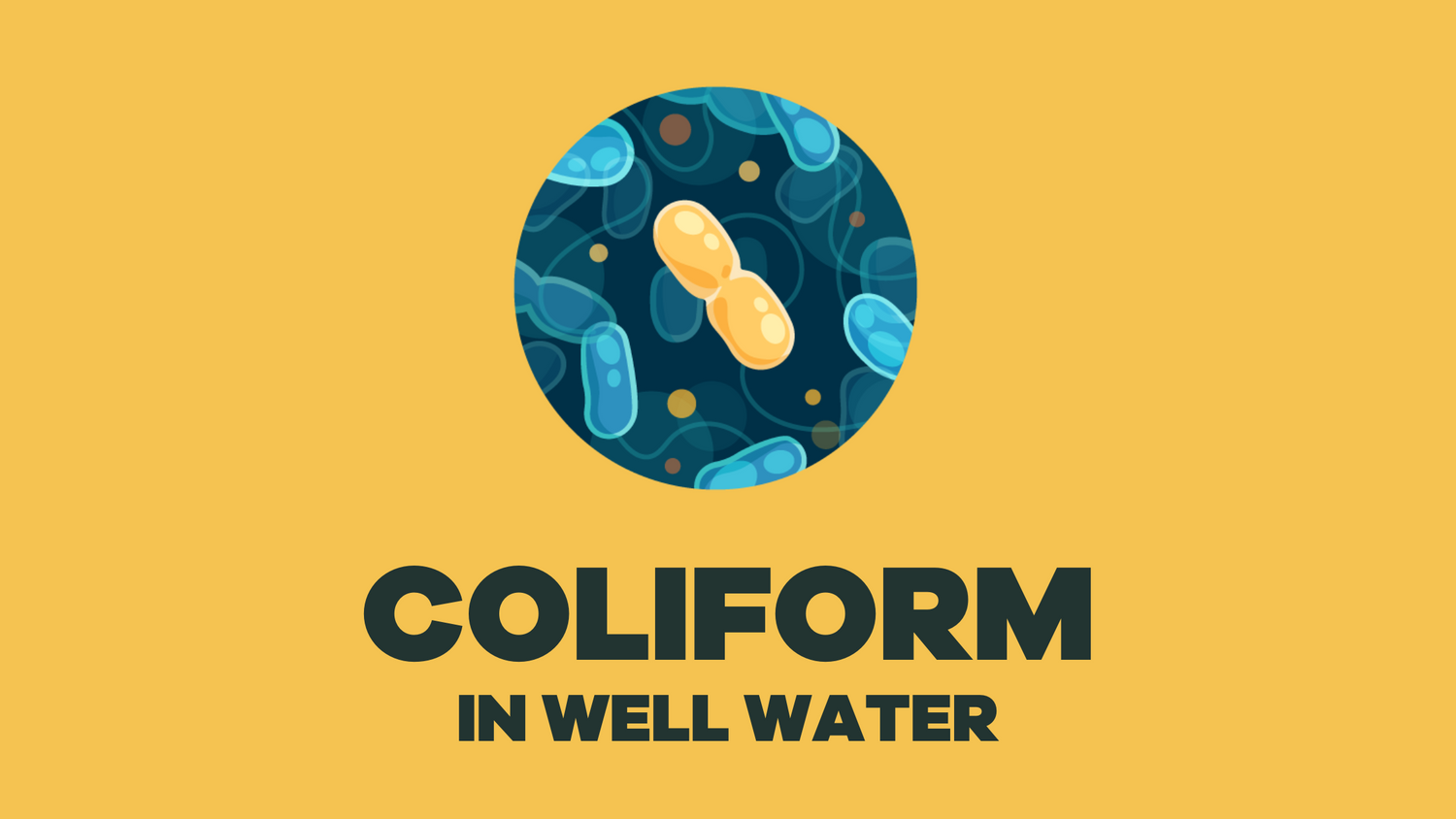 Quick Guide: Coliform Bacteria in Well Water