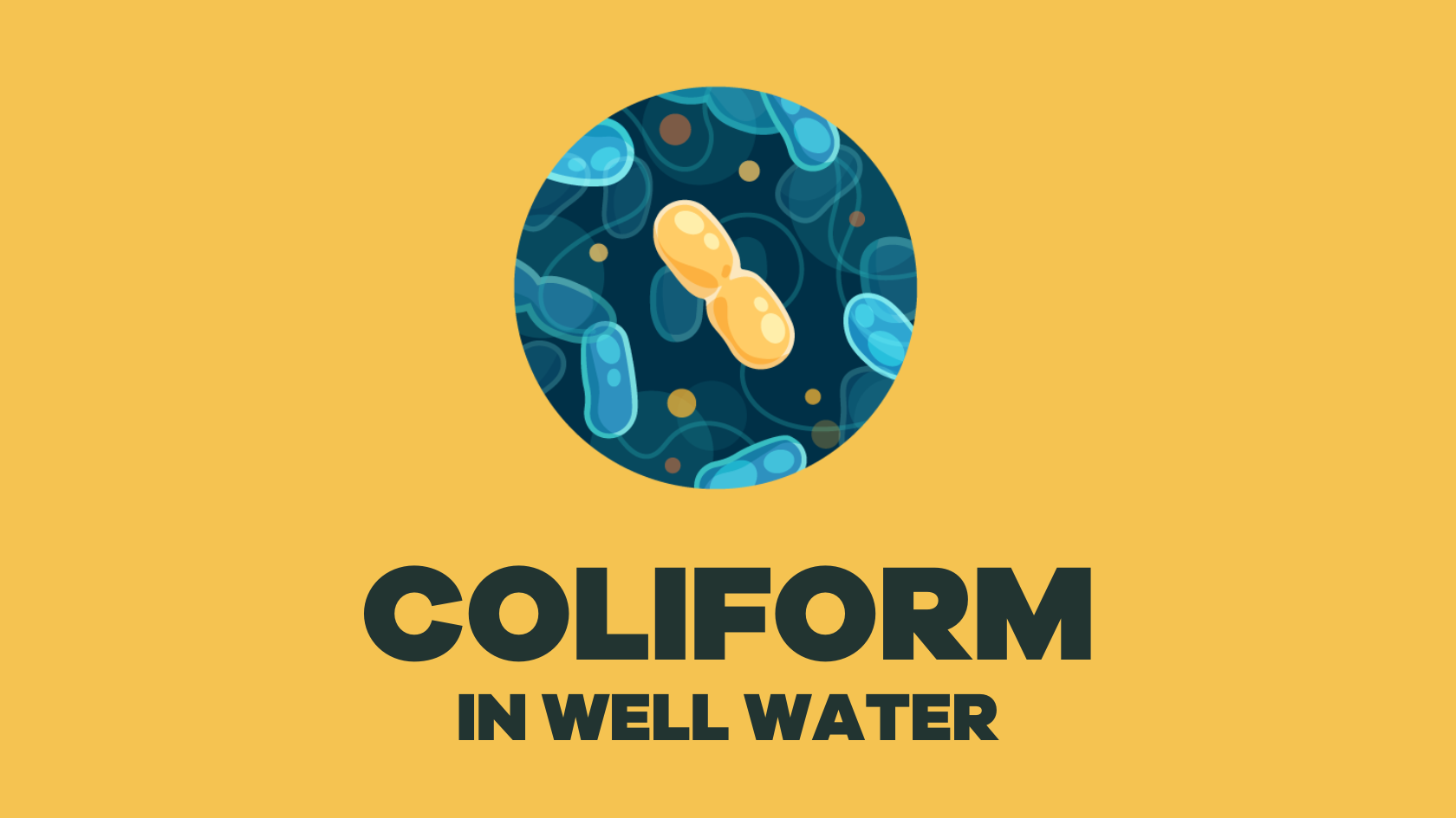 Quick Guide: Coliform Bacteria in Well Water – SimpleLab Tap Score