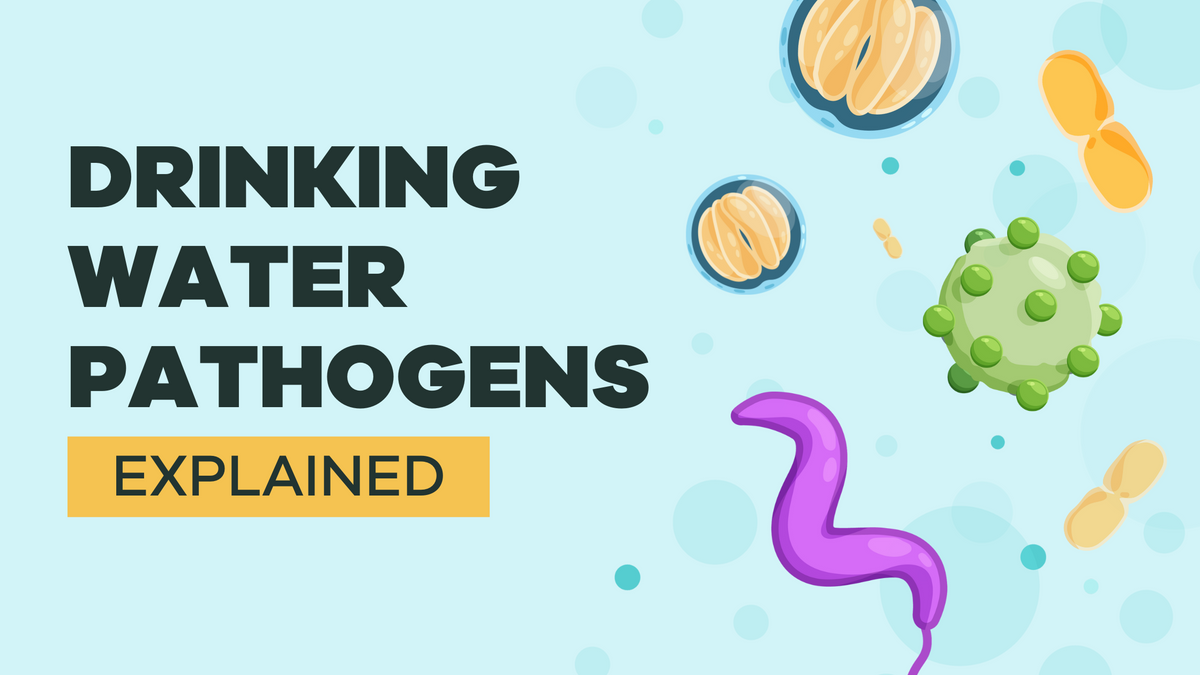 Pathogen Water Risk Quick Guide to Pathogens in Drinking Water – Tap Score