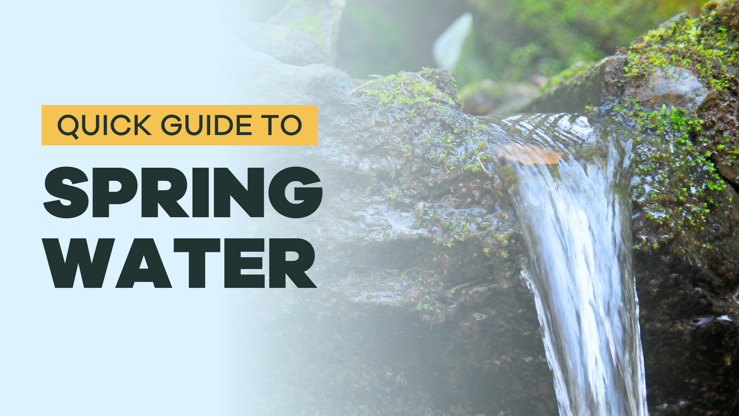 Quick Guide to Spring Water – Tap Score