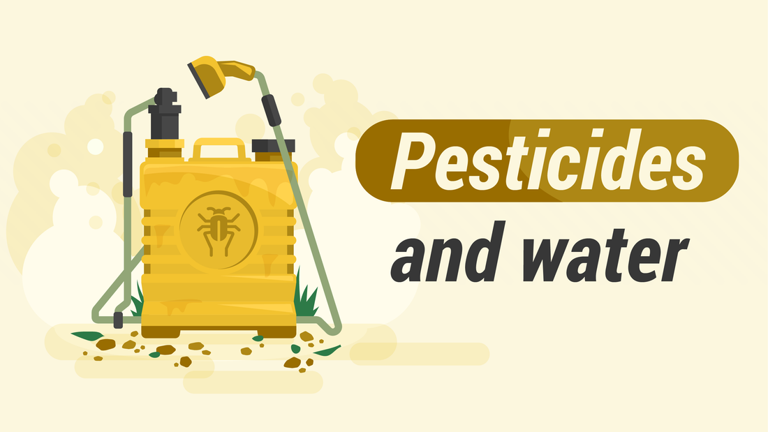 How Dangerous Are Pesticides in Water?