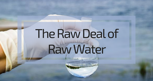 What's in Your Raw Water?