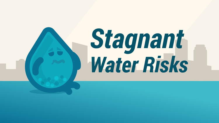 What Happens to Stagnant Water in a Vacant Building?