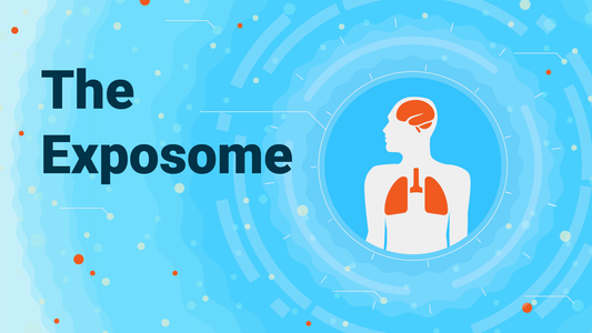 The Exposome Explained
