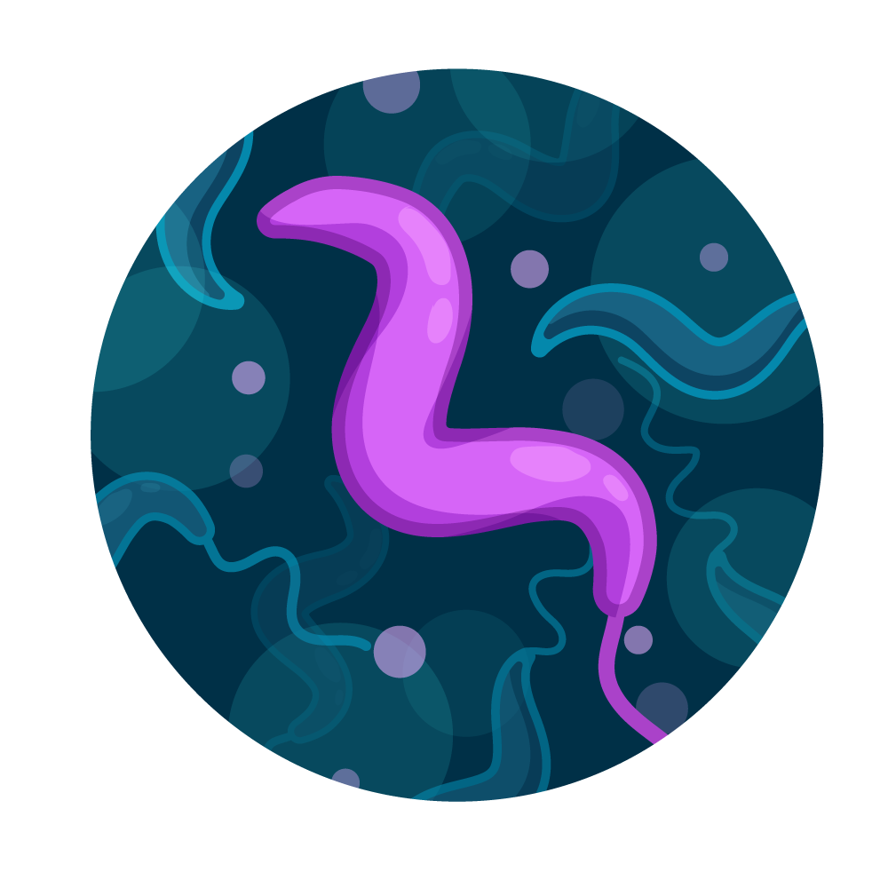 Campylobacter Water Test – SimpleLab Tap Score