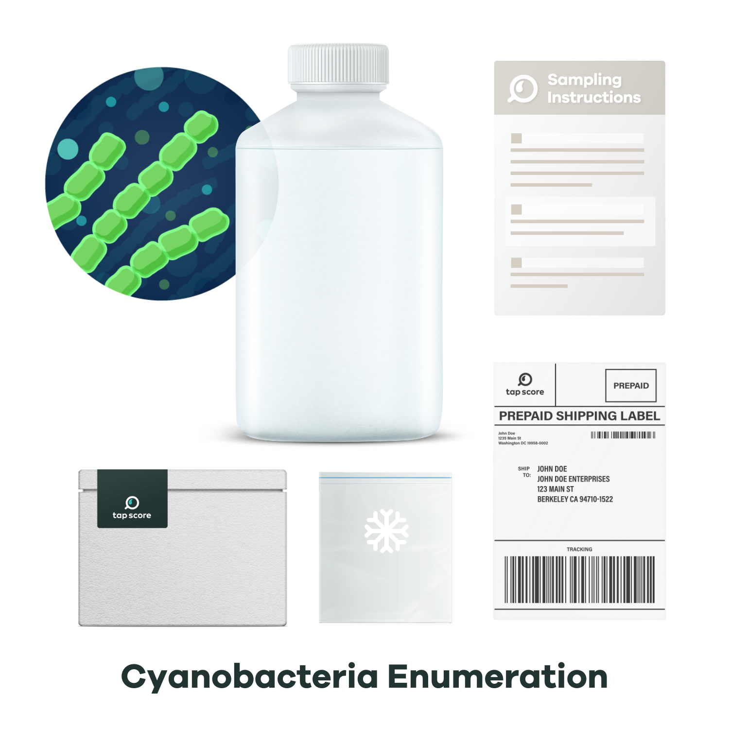 Cyanobacteria Enumeration Lab Test Kit