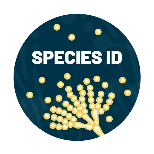 Pythium and Phytophthora Species Identification Water Test