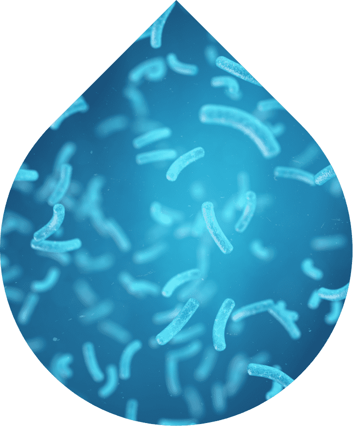 Independent Lab Water Testing For Home And Business SimpleLab Tap Score