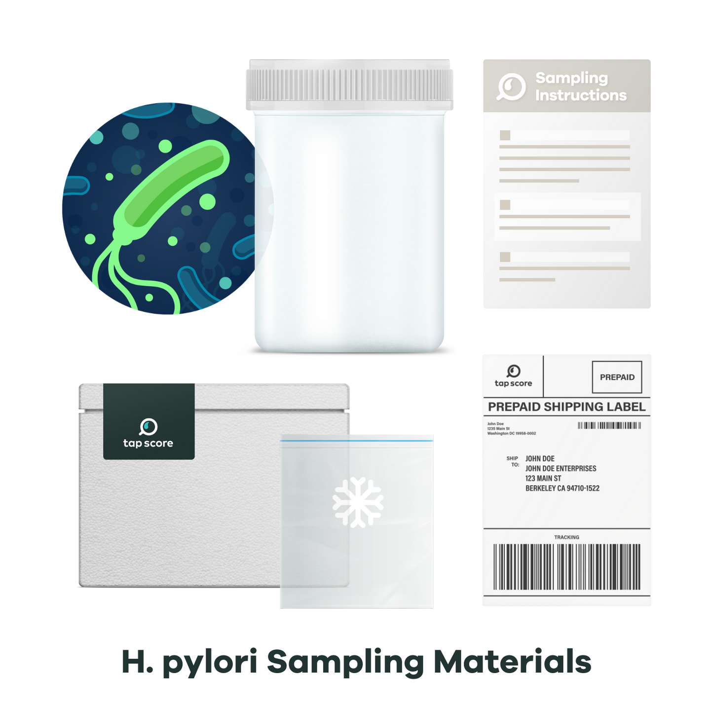 Helicobacter pylori bacteria sampling materials for lab test