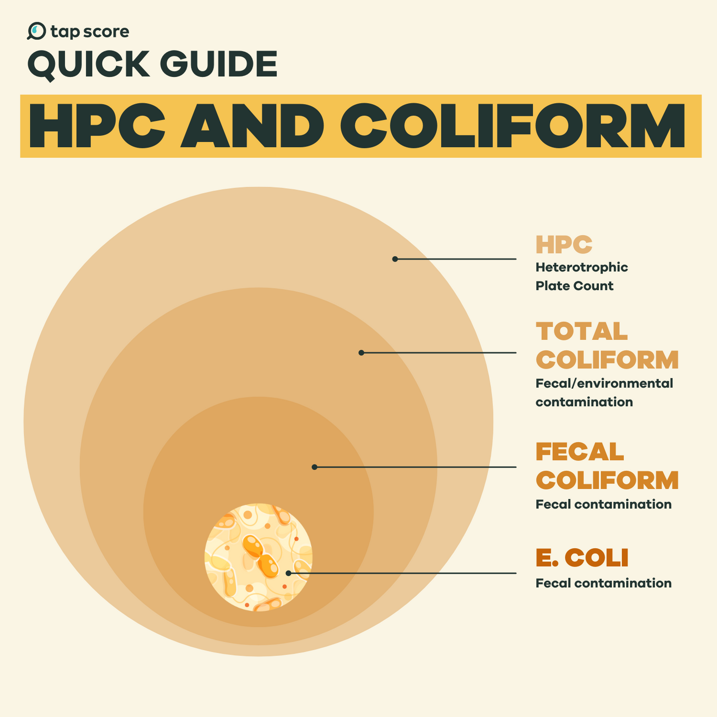 HPC and Coliform Bacteria Quick Guide