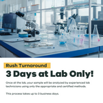 RUSH: Advanced Well Water Test