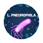 Legionella pneumophila Water Test