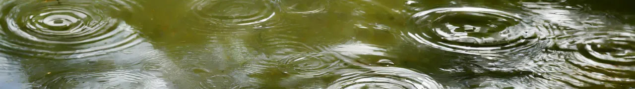 Spring Water Test Kits