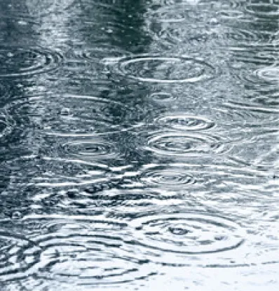 Rain Water
