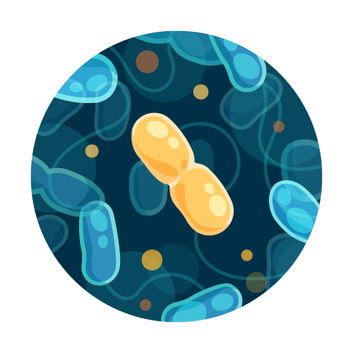 RUSH: Coliform and E. coli Water Test