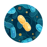 Coliform and E. coli Water Test