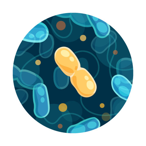 Canadian Coliform and E. coli Water Test