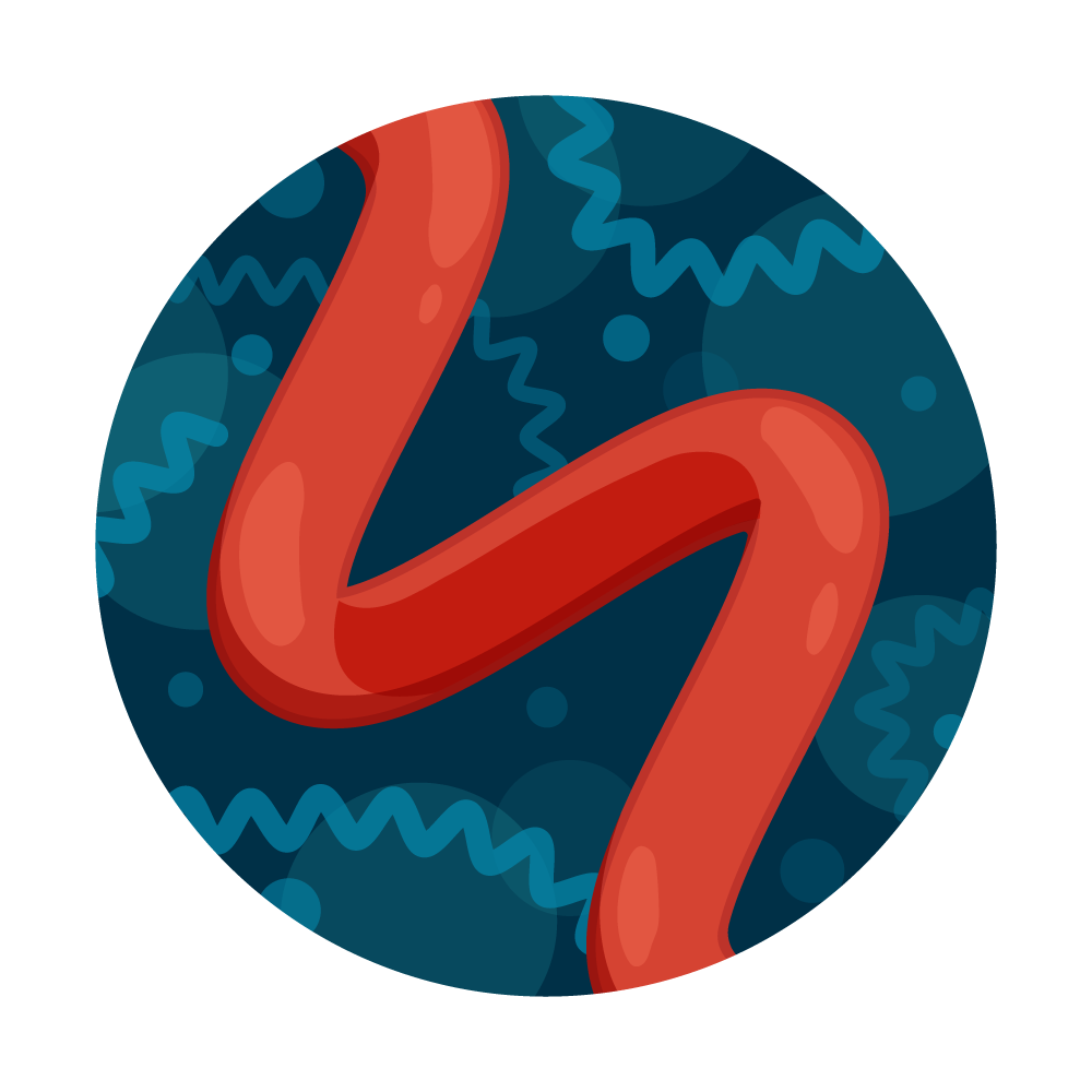 Leptospira Water Test from Tap Score