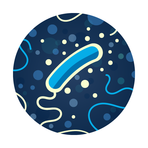 Vibrio vulnificus Water Test